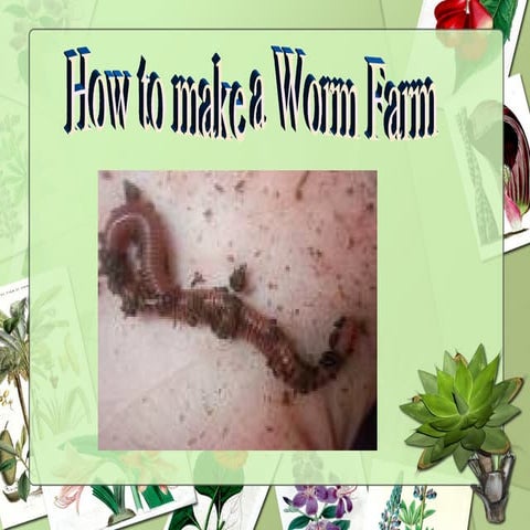 Wormfarm2