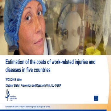 Estimation of the costs of work-related injuries and diseases in five countries