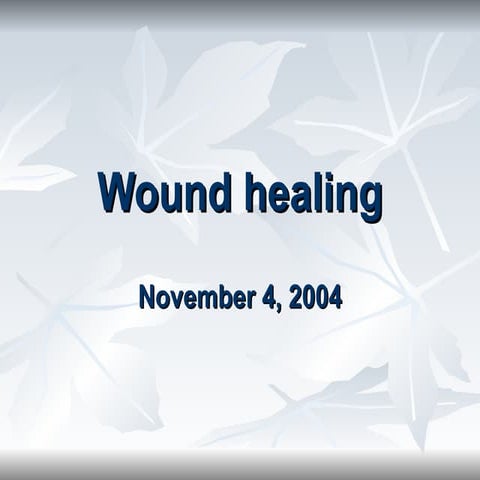 power point presenation about wound2004.ppt