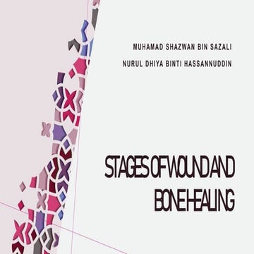 Stages of Wound and Bone Healing (Ortho)