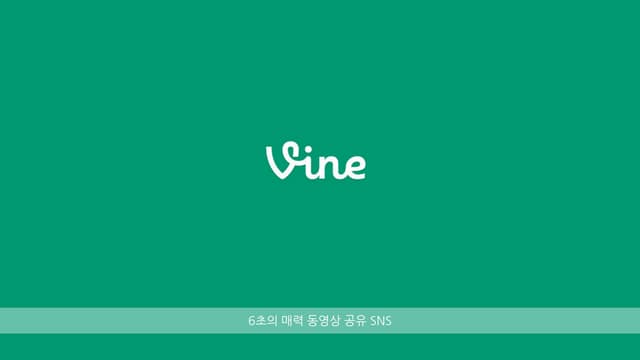 Woundary 서비스 활용안 vine 130527_석혜윤