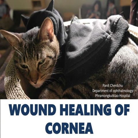Wound healing of cornea 
