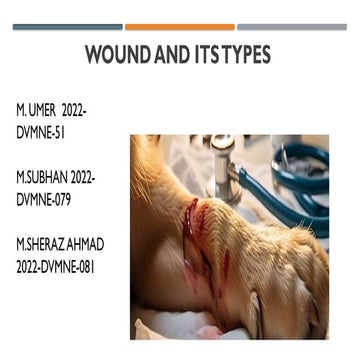 Wound its types-1.pptx small animal surgery topic for dvm students | PPTX