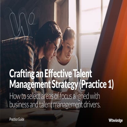 Effective Talent Management Strategy: Selecting Areas of Focus