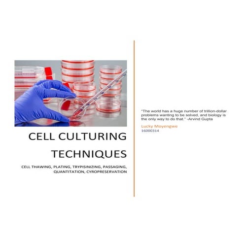 Cell culturing lab report