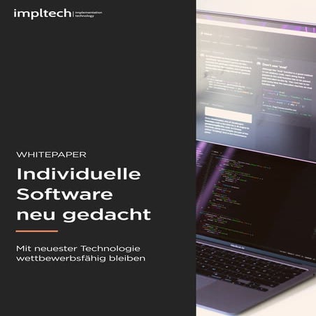 Individuelle Software Entwicklung