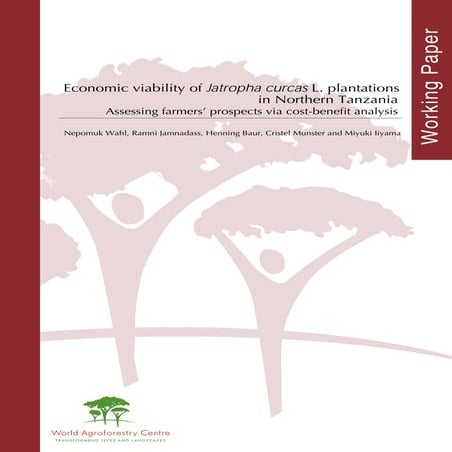Economic Viability of Jatropha Curcas in Northern Tanzania  
