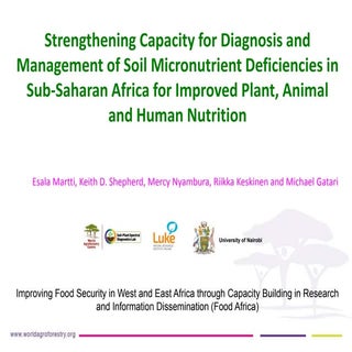 FoodAfrica seminar presentation WP1...