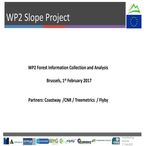 Slope Final Review Meeting - WP2