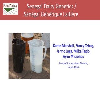 FoodAfrica seminar presentation WP2...