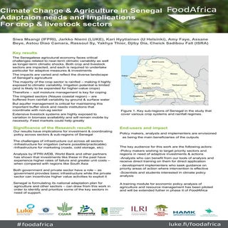 FoodAfrica seminar poster: Climate ...