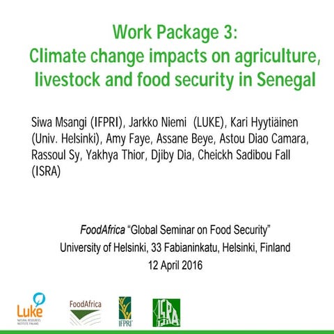 FoodAfrica seminar presentation WP3, Jarkko Niemi and Amy Faye