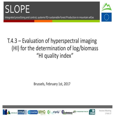 Slope Final Review Meeting - WP4