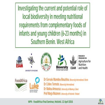 FoodAfrica seminar presentation WP4