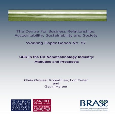 Wp57 csr in_the_uk_nanotechnology_industry