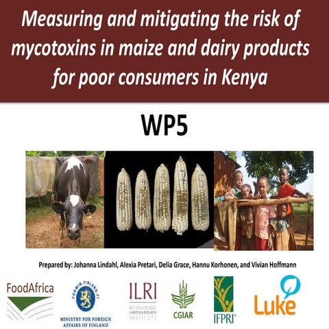 FoodAfrica seminar presentation WP5