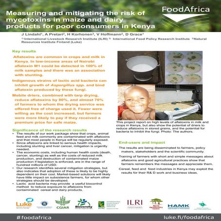 FoodAfrica seminar poster: Mycotoxins in maize and dairy products