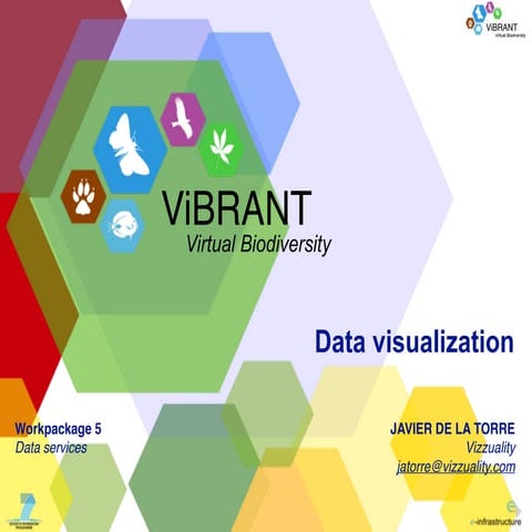 ViBRANT WP5 presentation by Vizzuality