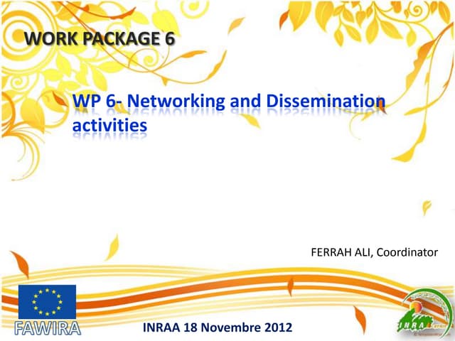 FAWIRA:Work Package 6: Networking a...