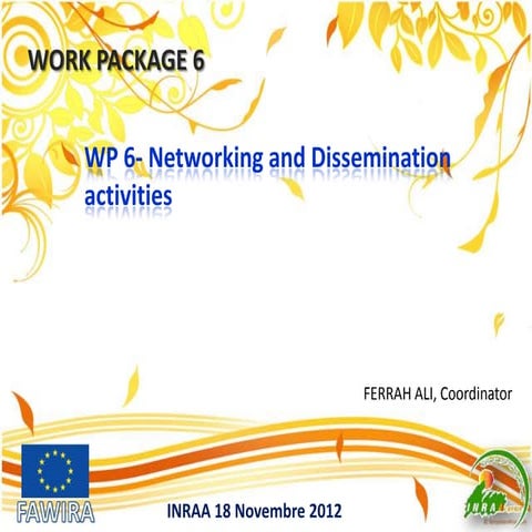FAWIRA:Work Package 6: Networking and Dissemination activities