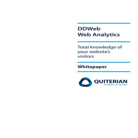Web analytics white paper Quiterian