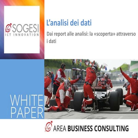 White Paper - L'analisi dei dati