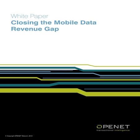 White paper: Closing the mobile data revenue gap (2010)