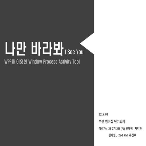 WPF를 이용한 window process activity tool | PPT