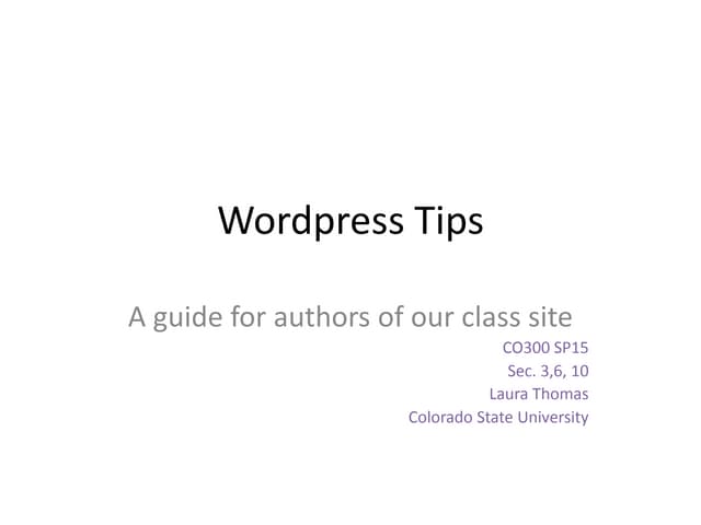 Wordpress Guide