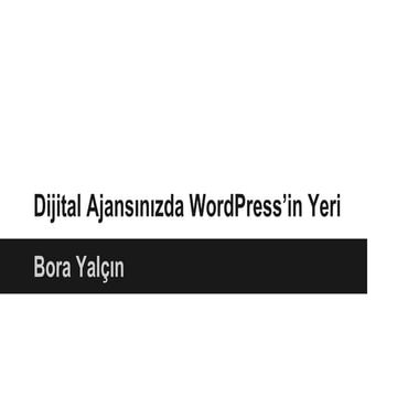 Dijital Ajansınızda WordPress'in Yeri