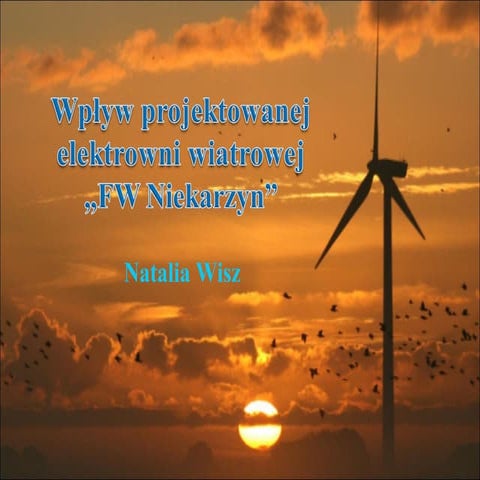 Wplyw projektowanej farmy wiatrowej na ptaki!!!