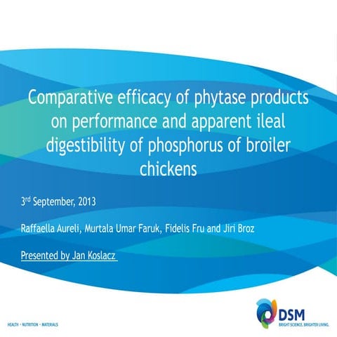 Efficacy of phytase products on ileal digestibility of phosphorus of chickens