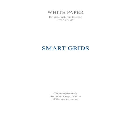 White Paper Smart grids