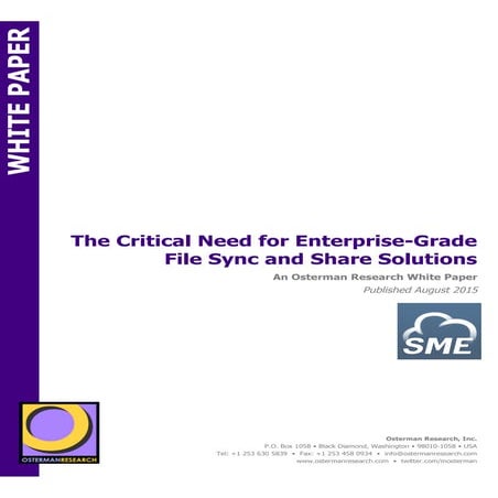 The Critical Need for Enterprise-Grade File Sync and Share Solutions 1 view