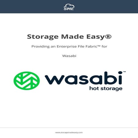 The Enterprise File Fabric for Wasabi