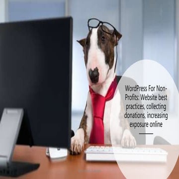 Wpyall 2019 word press for nonprofits hwds