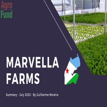 MARVELLA FARMS SUMMARY TEAM Mark Erjavec Taqtyle Mesaba Finance