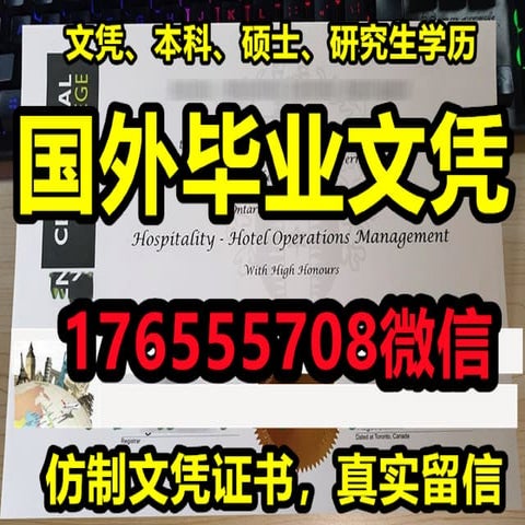 UEL成绩单 | PDF