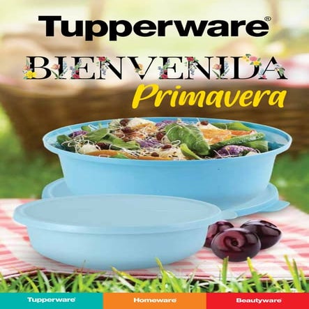 Tupperware202316.pdf