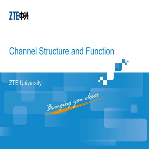 WR_BT03_E1_1 Channel Structure and Function-44.ppt