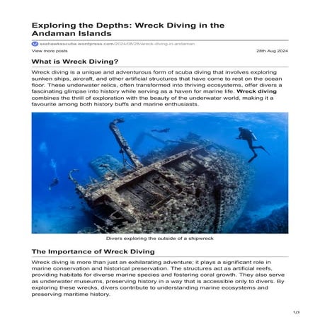 Explore Popular Ship Wreck Diving in The Andaman Islands | PDF