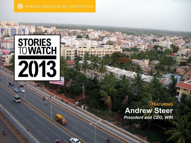 Stories to Watch 2013