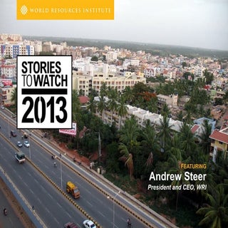 Stories to Watch 2013