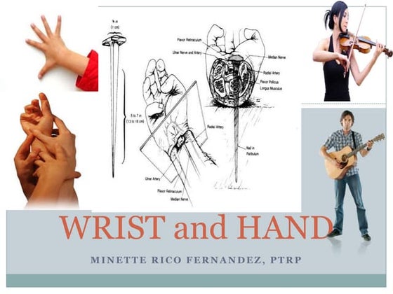 Biomechanics of wrist & Hand | PPTX | Death, Injury, or Military ...