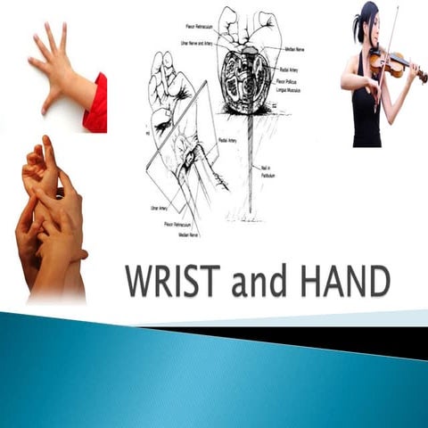 Wristandhand.pptx