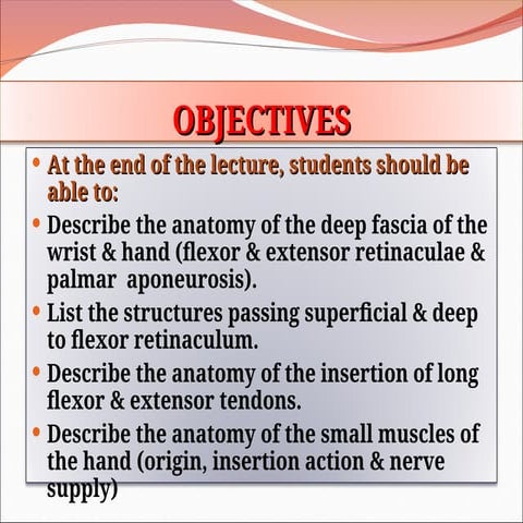 FLEXOR RETINACULUM by anivesh maurya.pptx