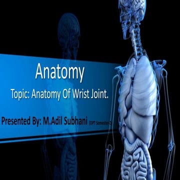 Anatomy Of Wrist joint