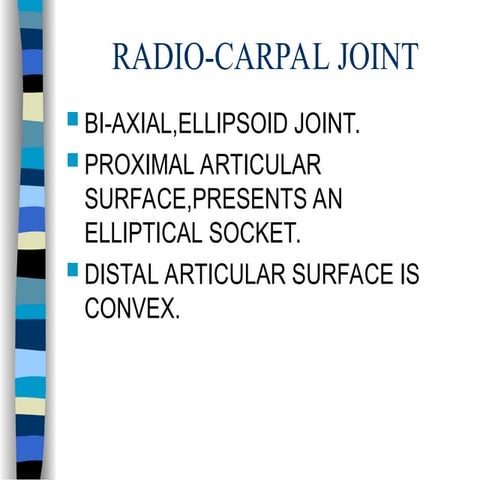 WRIST JOINT AND JOINTS IN THE HAND WITH APPLIED ASPECTS