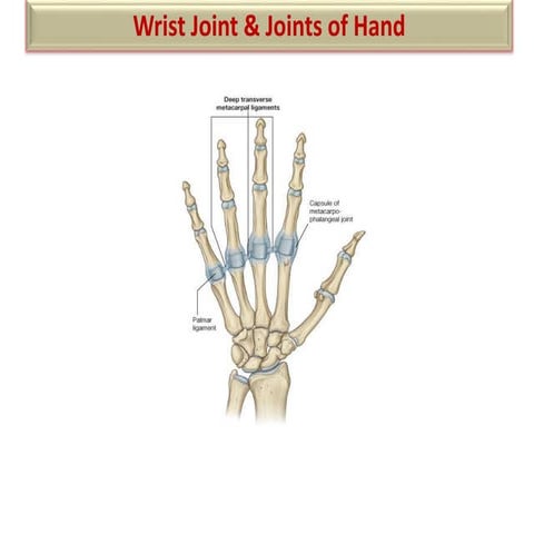 Wrist joint 