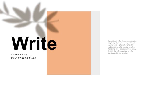 write no image.pptx